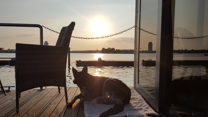Top Hundeurlaub HausbootUrlaub mit Hund